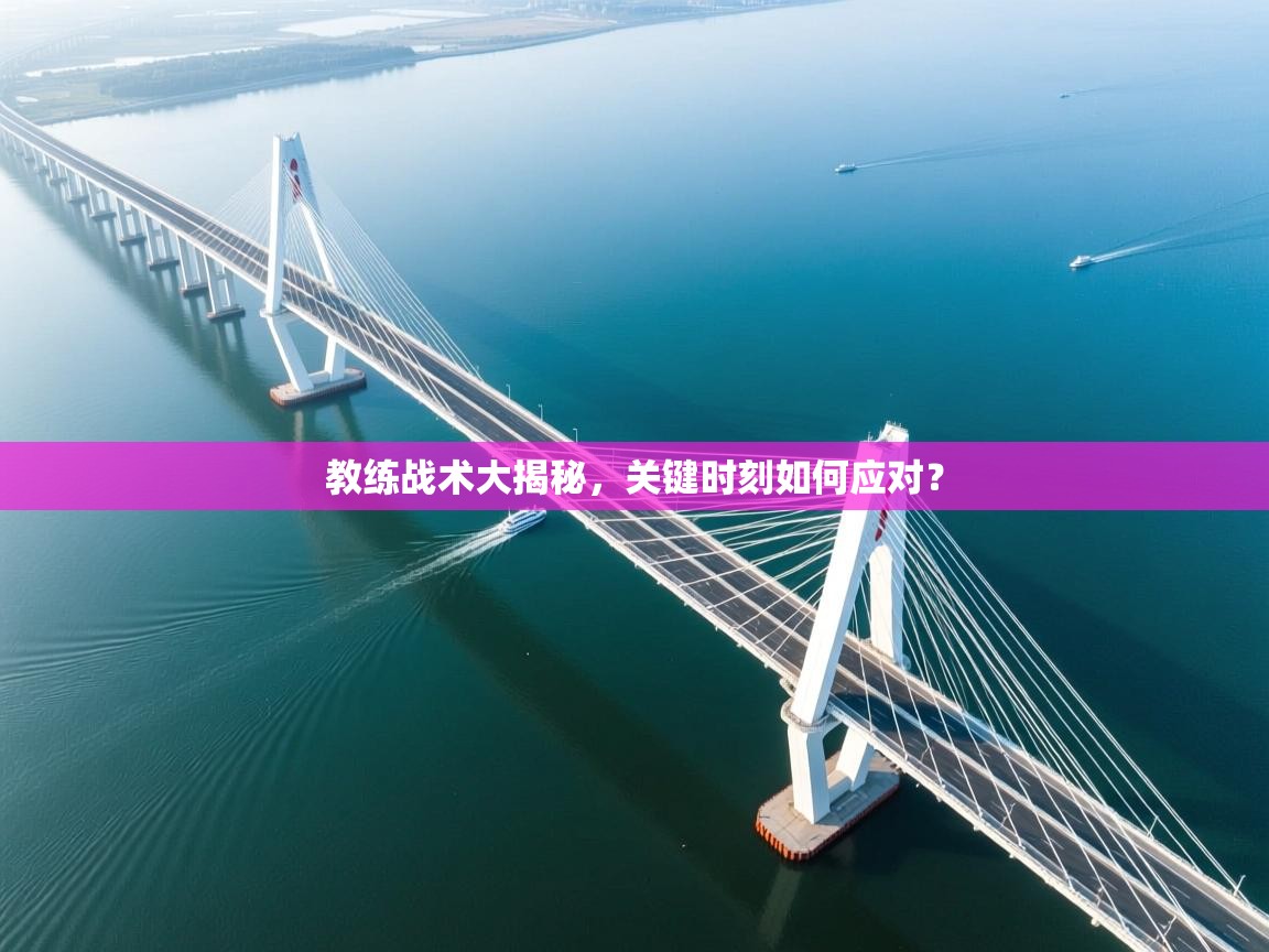 教练战术大揭秘，关键时刻如何应对？  第2张