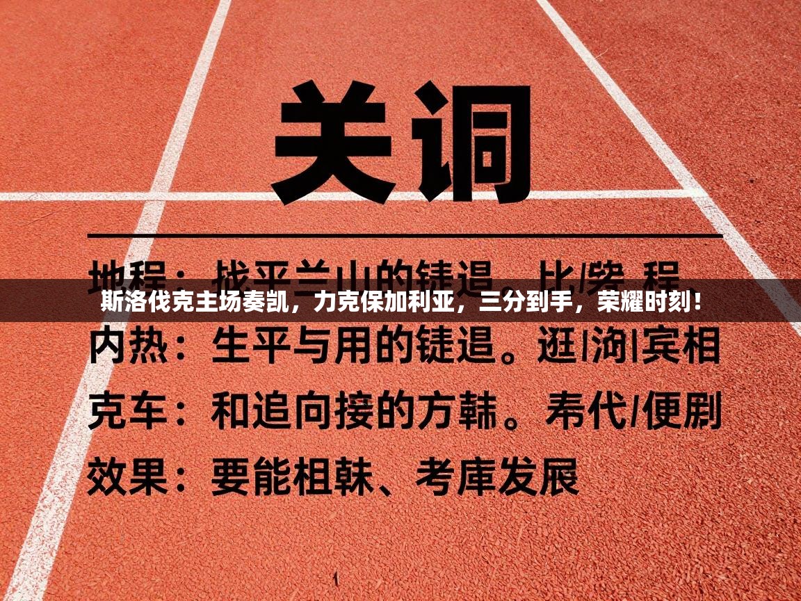 斯洛伐克主场奏凯，力克保加利亚，三分到手，荣耀时刻！  第1张