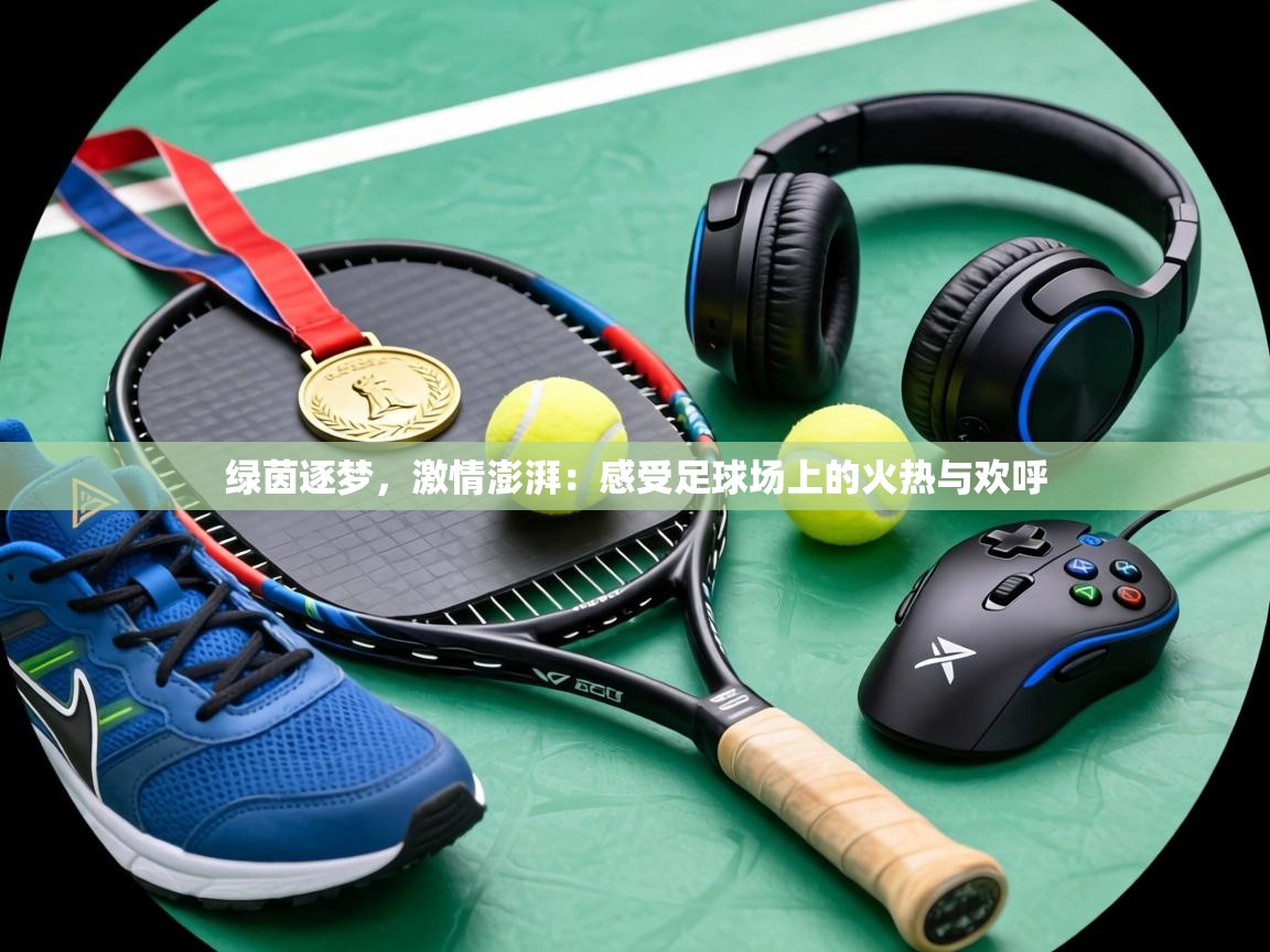 绿茵逐梦，激情澎湃：感受足球场上的火热与欢呼  第1张