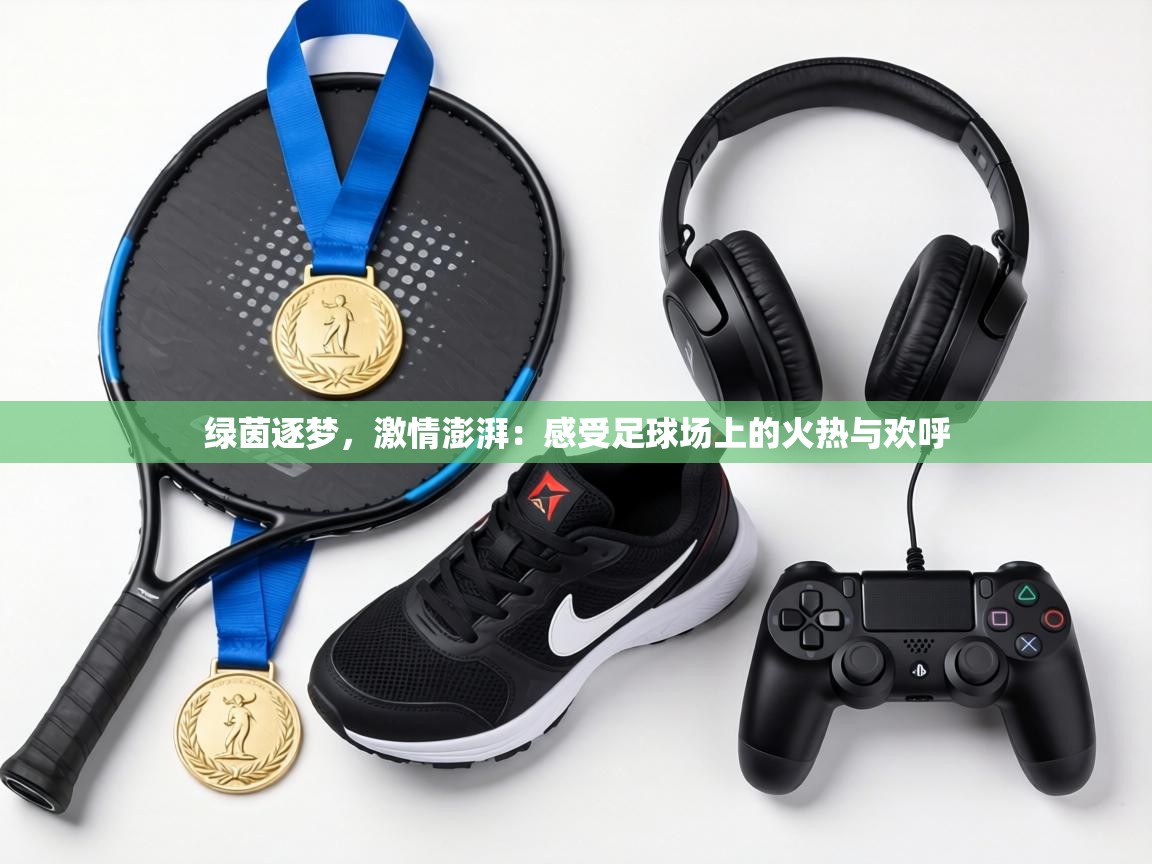 绿茵逐梦，激情澎湃：感受足球场上的火热与欢呼  第2张