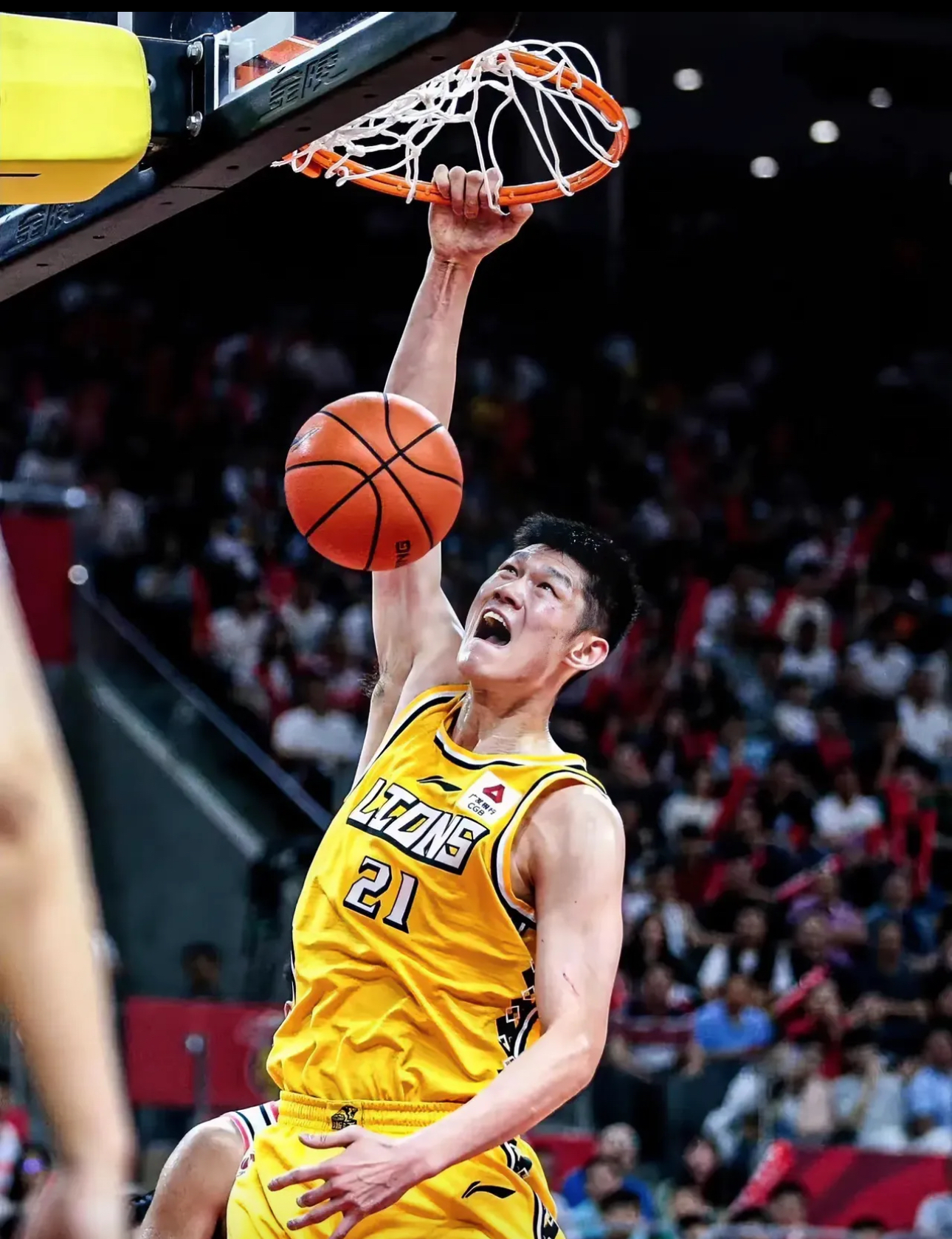 包含国内篮球联盟球员实力突出，比赛节奏激烈的词条