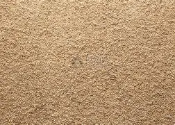 沙尔克04遭遇困境，情怀难抑